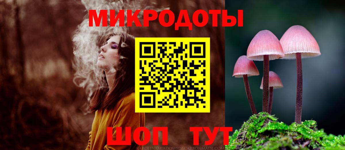Псилоцибиновые грибы Psilocybe Камень-на-Оби