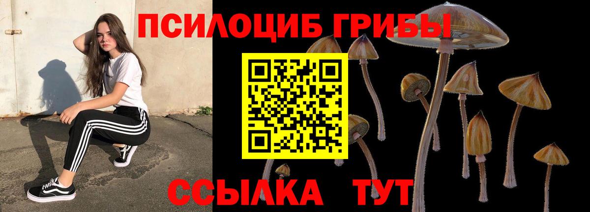 Камень-на-Оби  Псилоцибиновые грибы мицелий  Псилоцибиновые грибы мицелий  Вход с VPN 